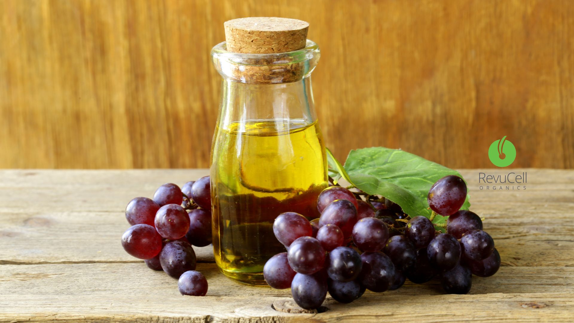 Grapeseed Oil for Low Porosity Hair RevuCell Products